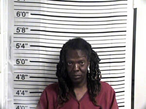 Mugshot of NELMS, CAROL KAY 