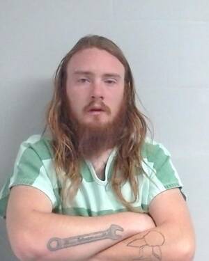 Mugshot of Peterson Jr, Michael Gary 